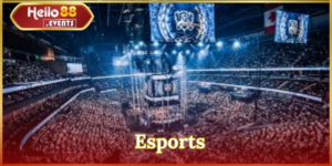 Esports là gì? Tất tần tật những thông tin hấp dẫn về thể thao điện tử