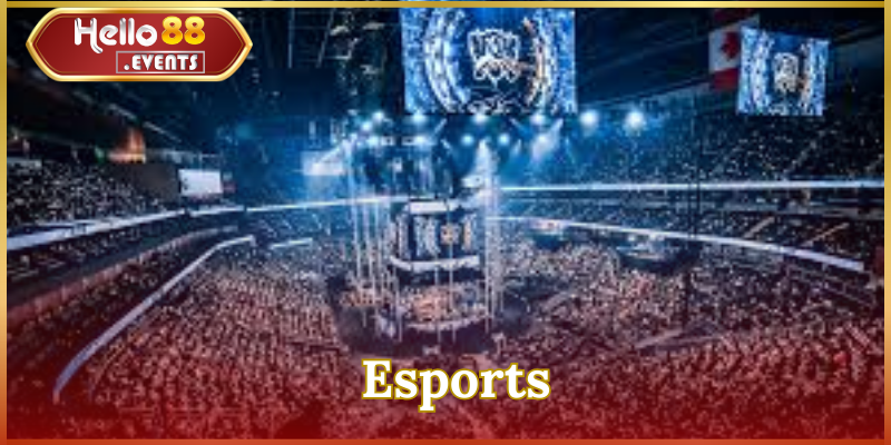 Esports là gì? Tất tần tật những thông tin hấp dẫn về thể thao điện tử