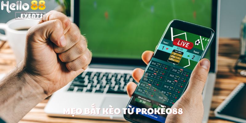 Nickname ProKèo88 Lời 500 Triệu Với Cú Đọc Kèo Liverpool Tại Hello88 4 Mẹo bắt kèo từ ProKèo88