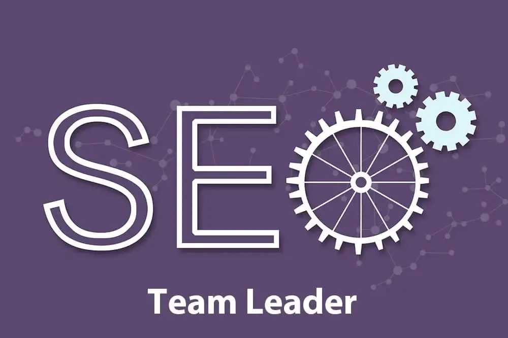 Tuyển Dụng SEO Leader Lương Cao, Thưởng Nhiều 2025 2 Đảm bảo định hướng chiến lược SEO